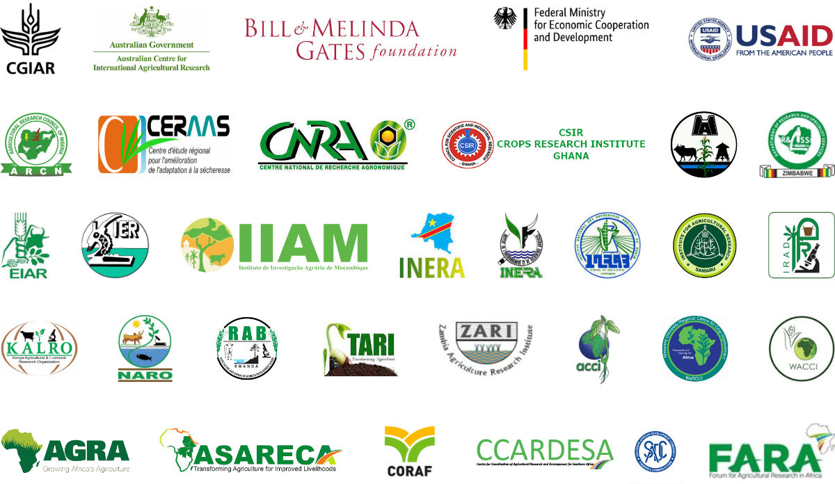 NARES–CGIAR Genetic Innovation: Strengthening And Coordinating ...